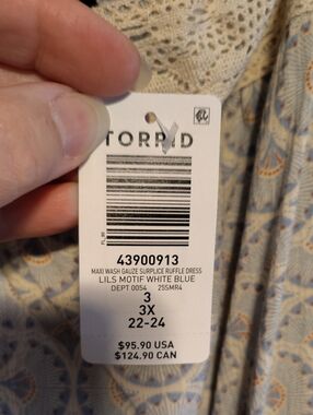 torrid White and Light Blue Floral Motif Maxi Dress